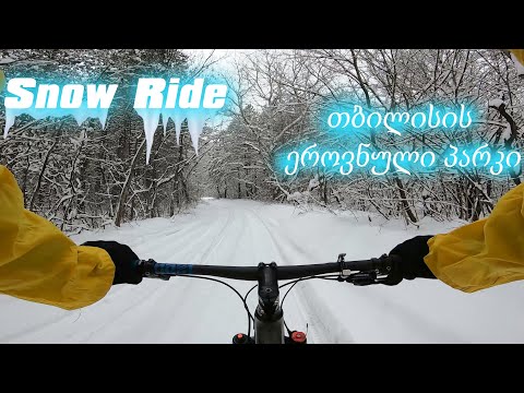 Snow Ride თბილისის ეროვნული პარკი / რამდენჯერ გავსრიალდი? თოვლში სიარული
